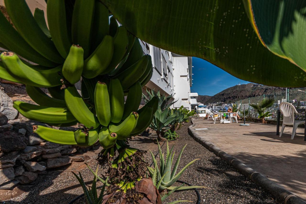 Your Happy Place Puerto Rico With Ac Exteriér fotografie